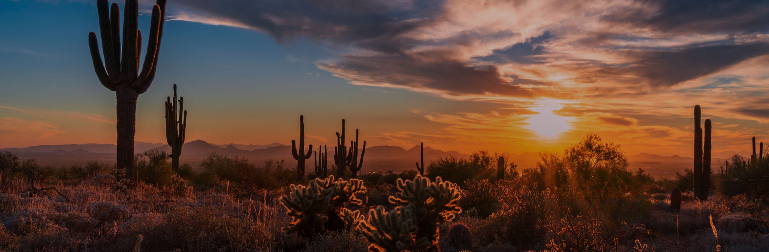 Arizona – Networks – IWIRC